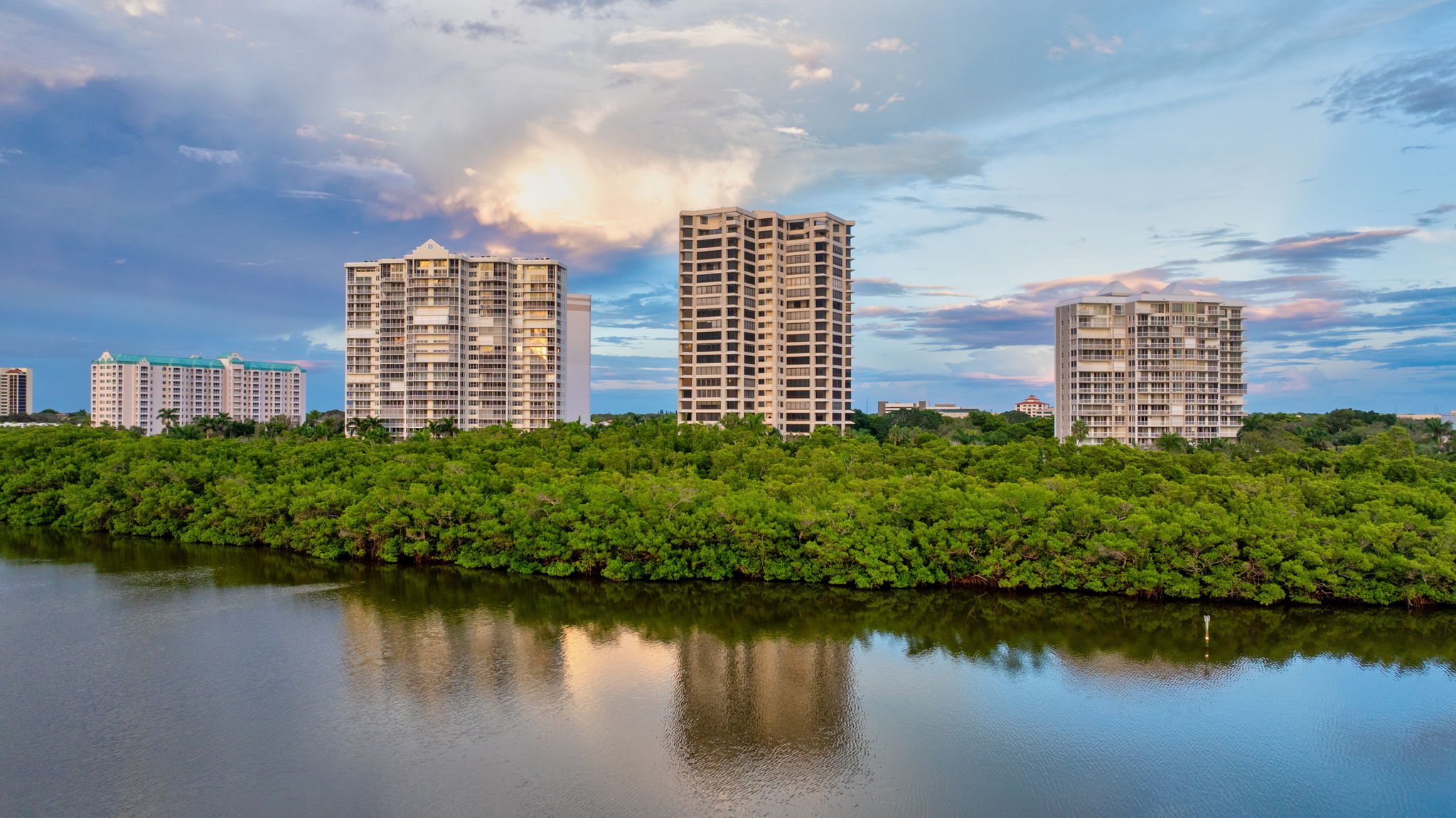 The Heron From Clam Pass