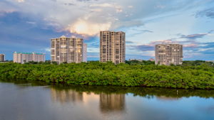 The Heron From Clam Pass