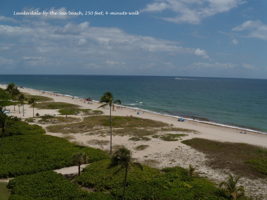 An easy walk and toes are in sand.