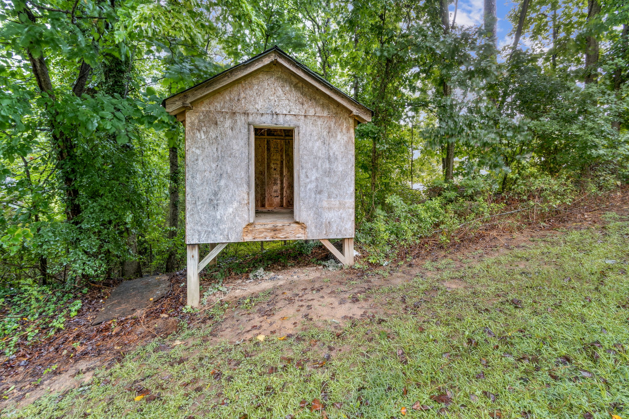 Treehouse