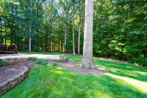  Photo 44