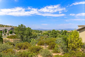 Back Patio View
