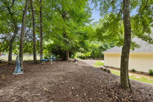 Side Yard