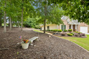 Side Yard