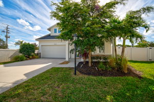 5570 Spanish Moss Cv-5