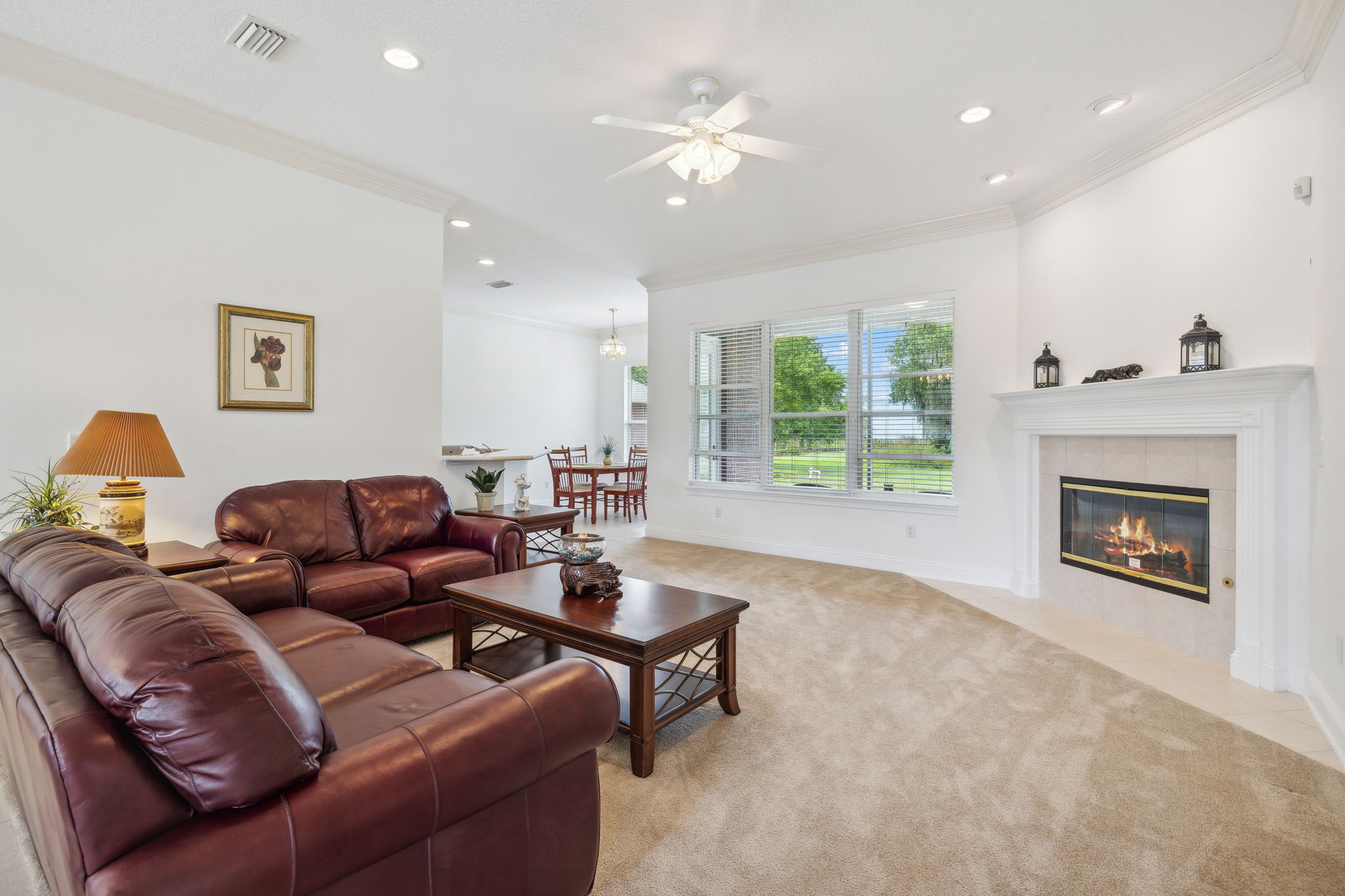 Light Filled Living Room