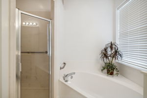 Garden Tub/Walk in Shower