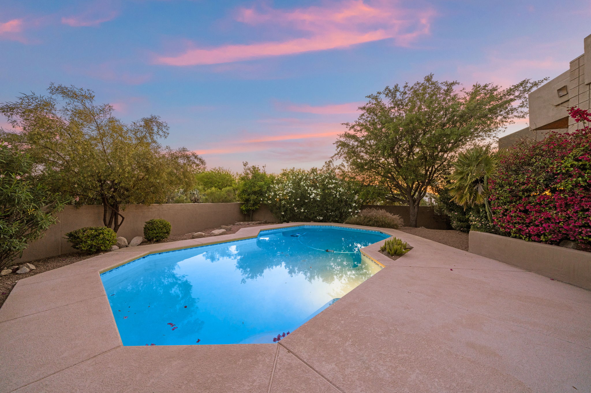 Private backyard with mature landscaping