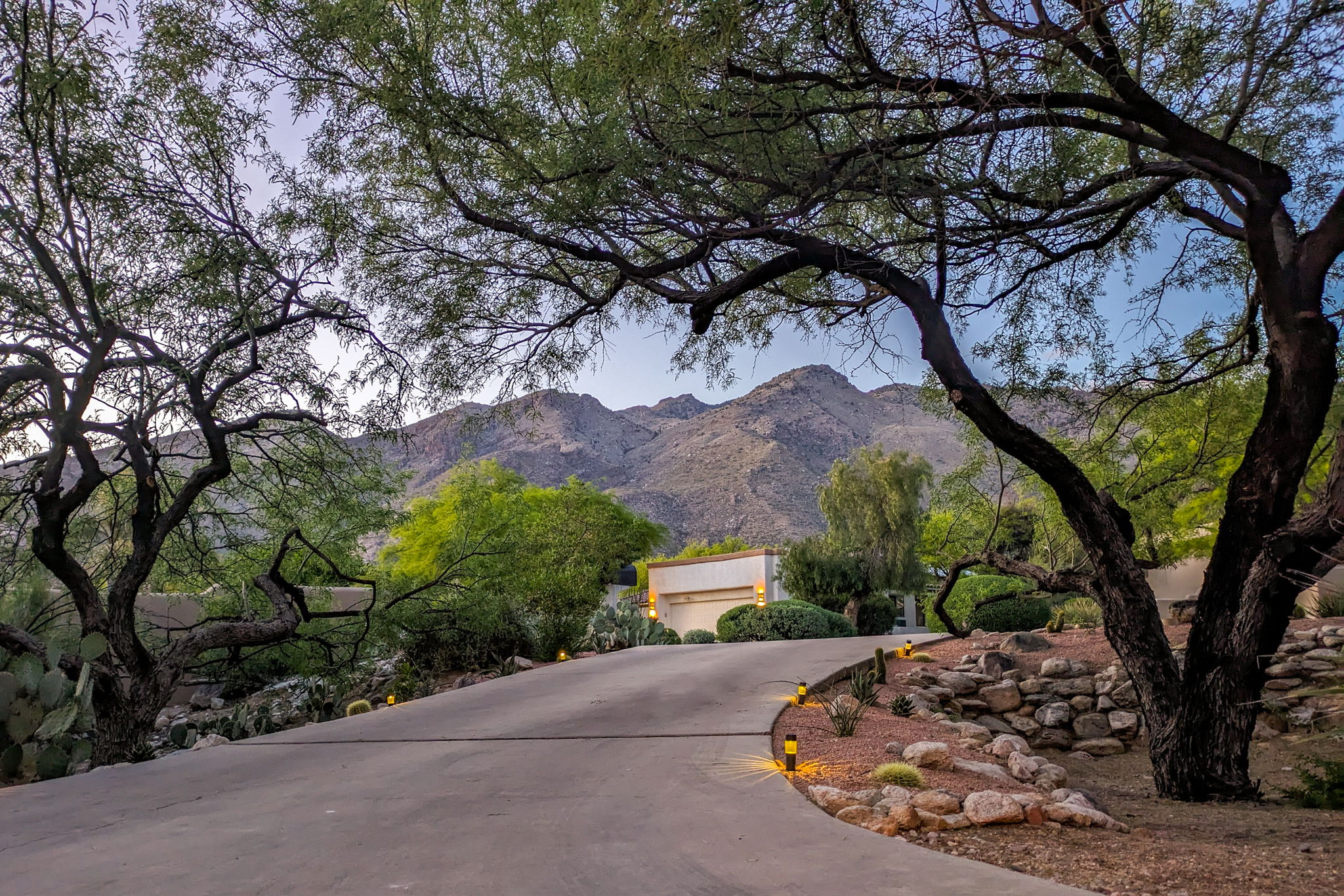 View of the Catalina Mounains