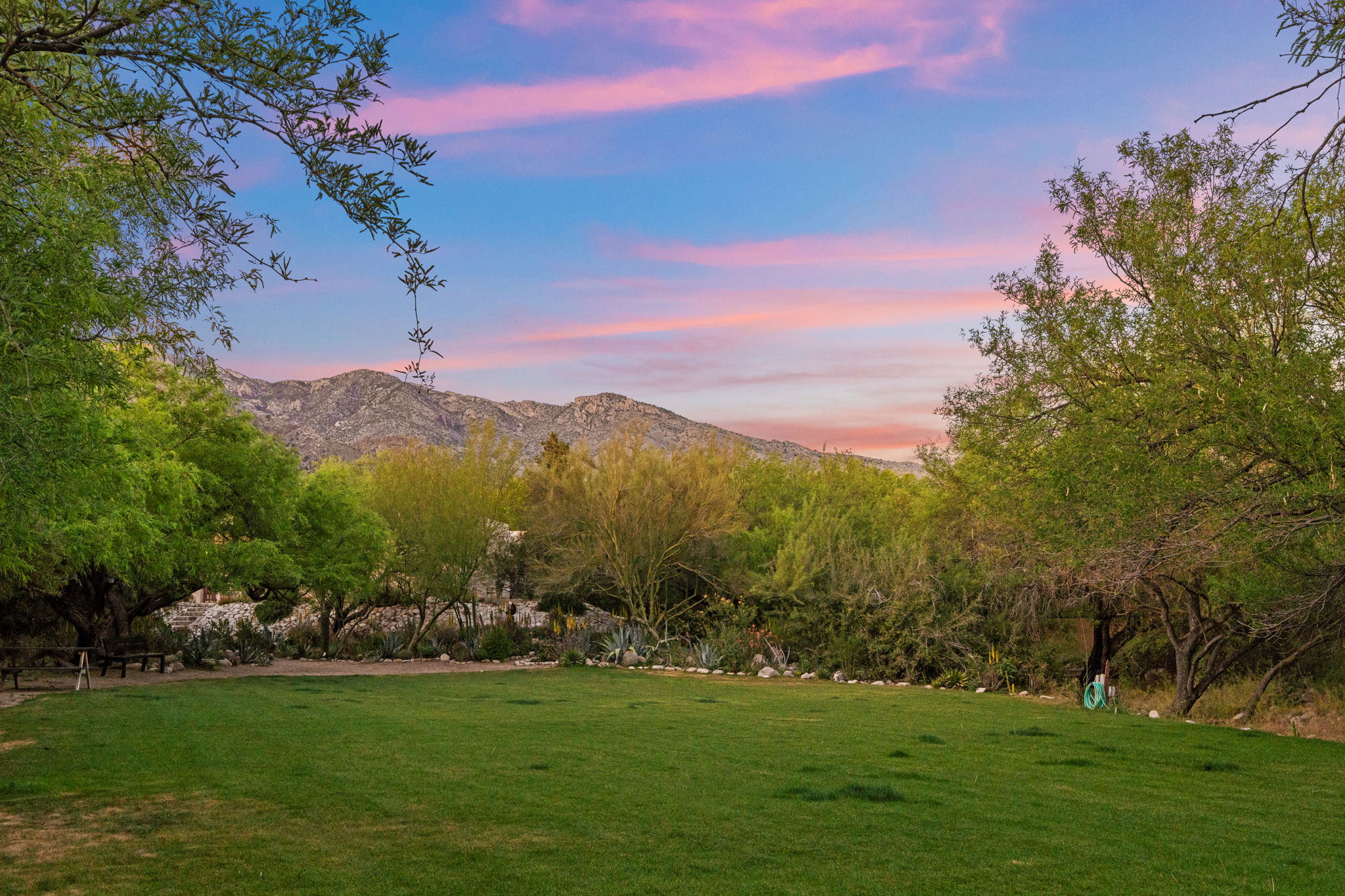 Mountain views and lush grass in the neighborhood park