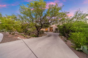 View from the street of the long concrete driveway