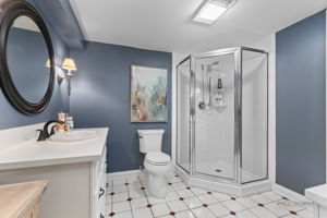 Lower Level - Bathroom
