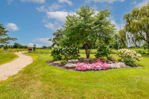 Walking Paths