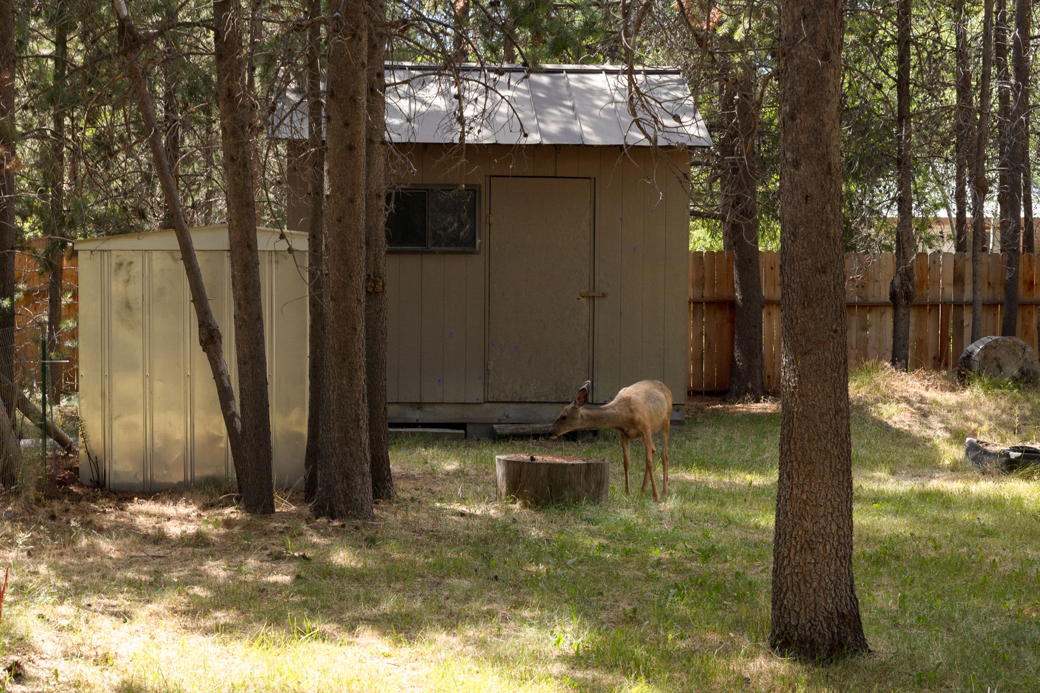  Photo 30