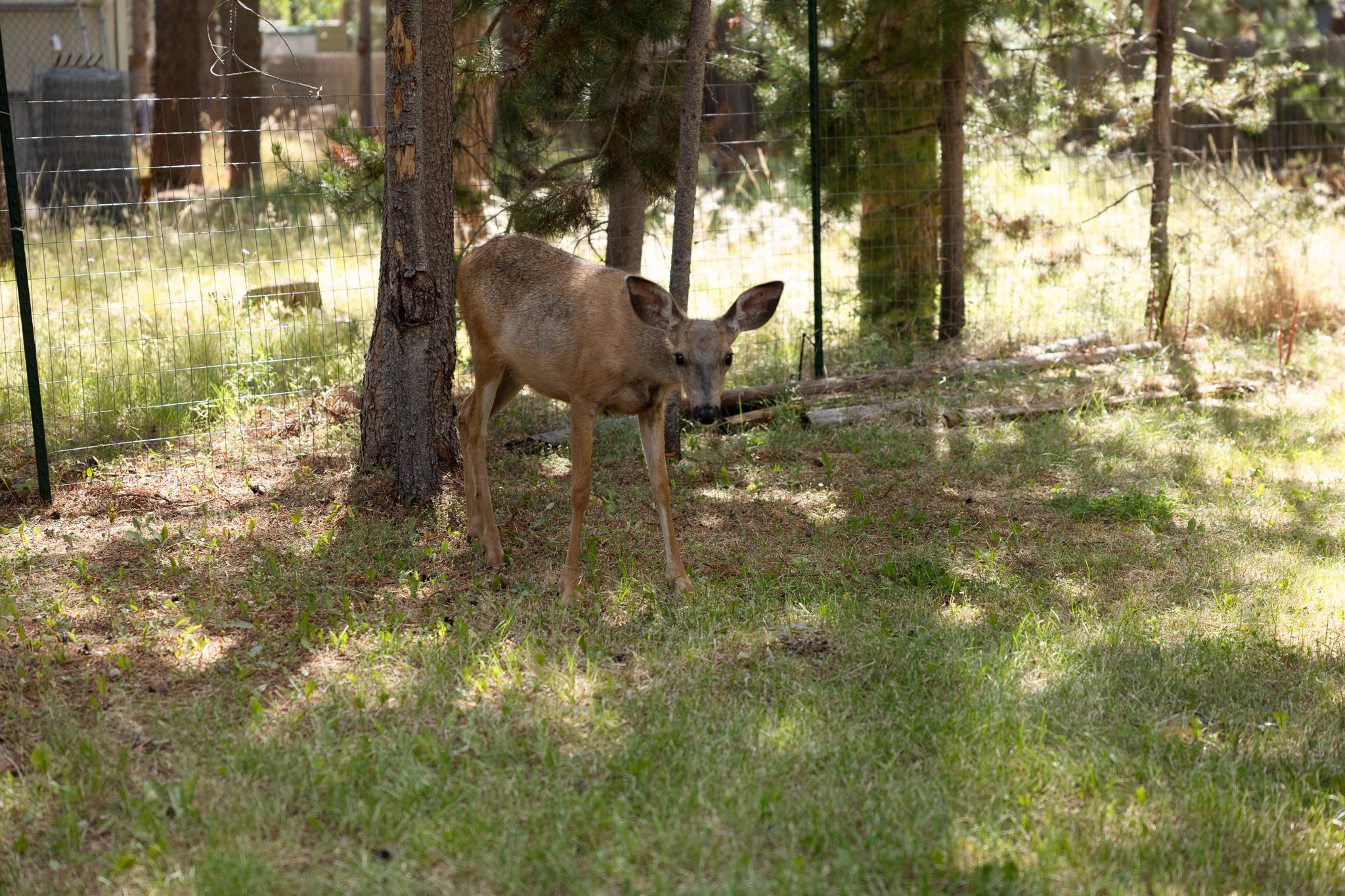  Photo 32