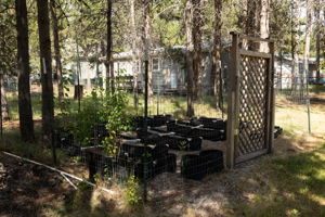  Photo 35