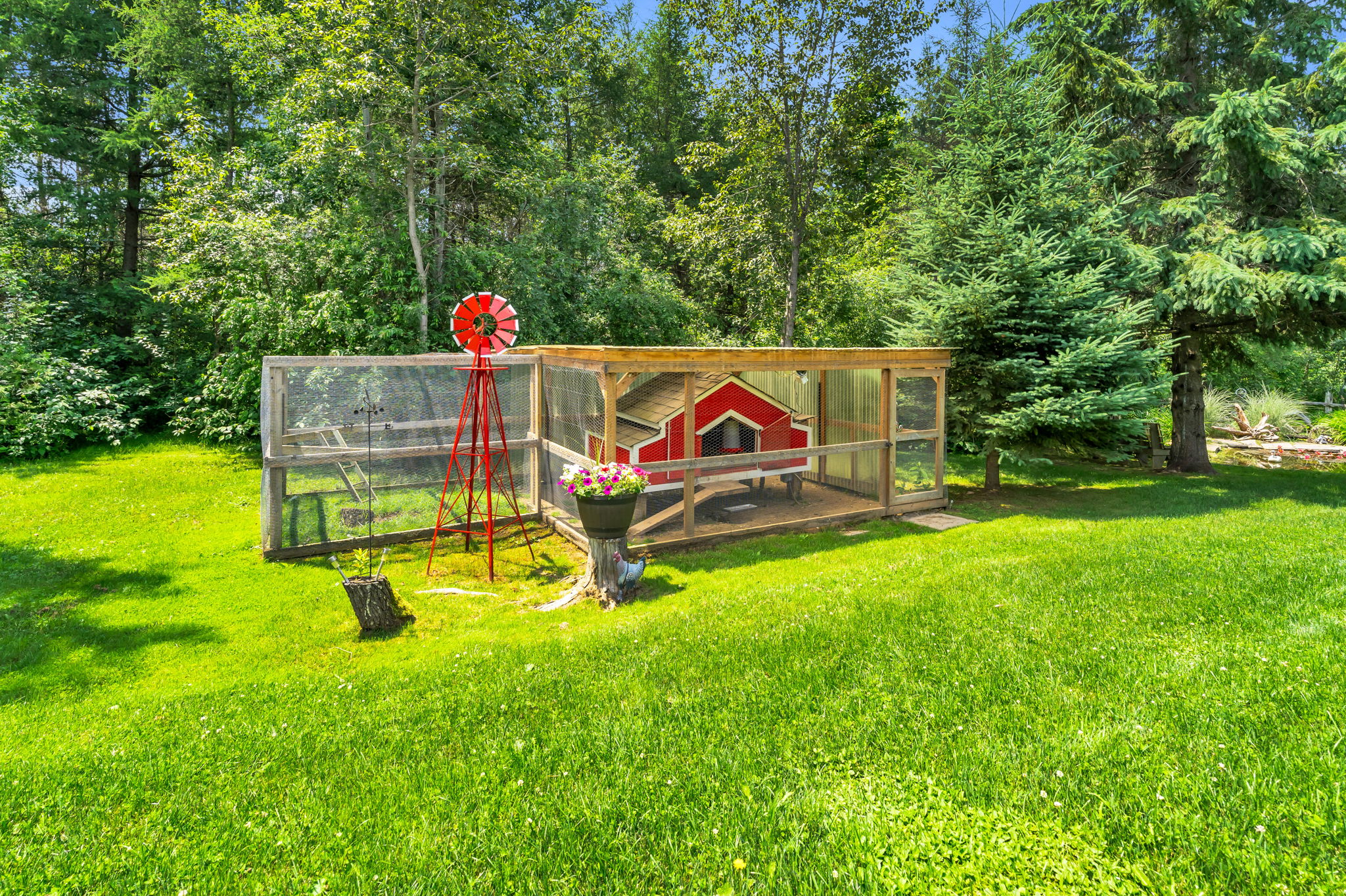 Backyard
