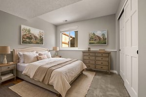 Basement Room 1 virtually staged.jpeg