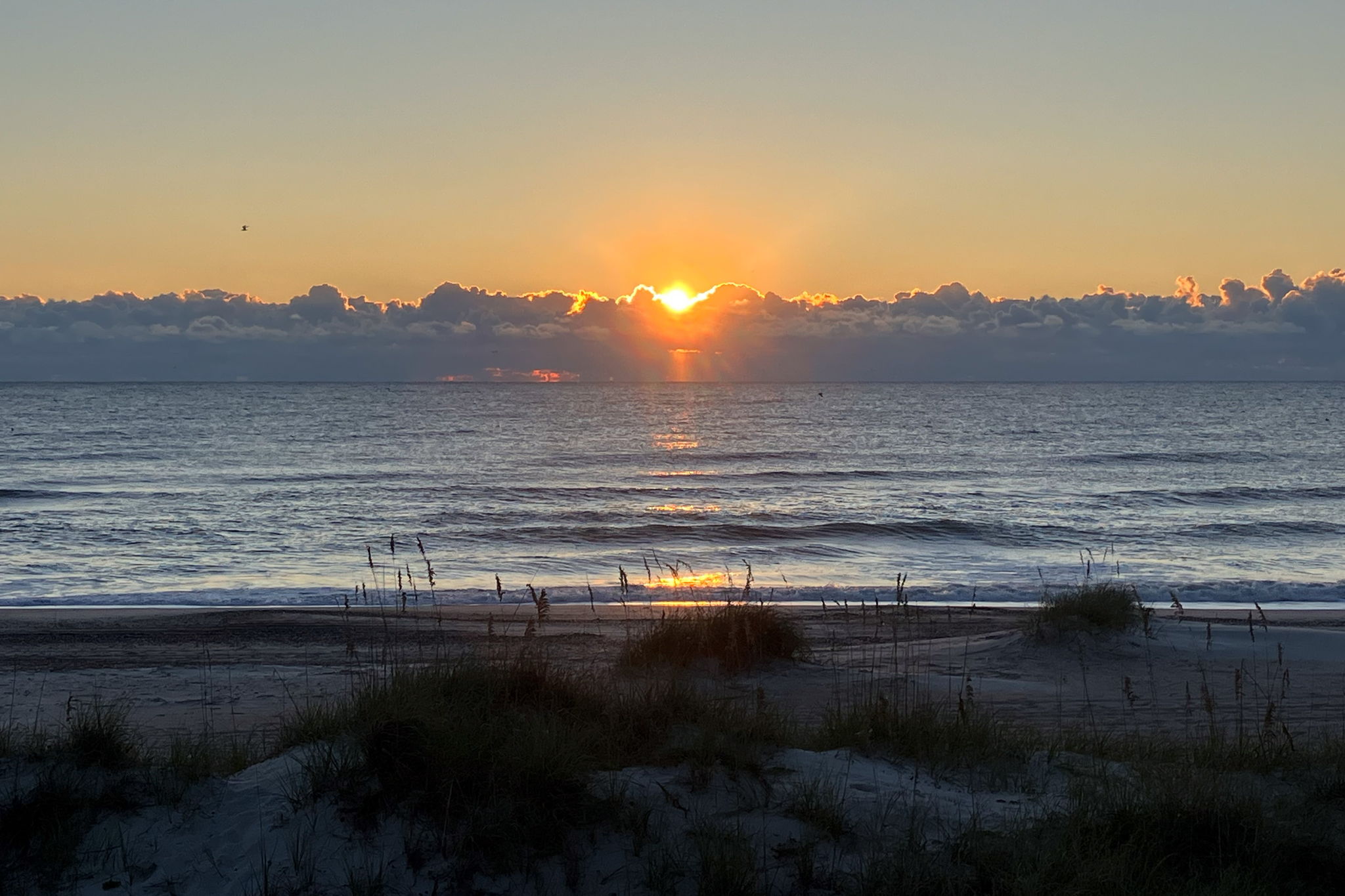 Wake to the ocean ...