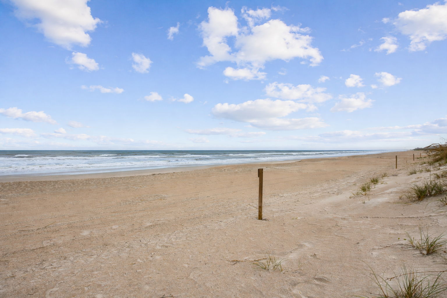 Watch the shoreline come alive below ...