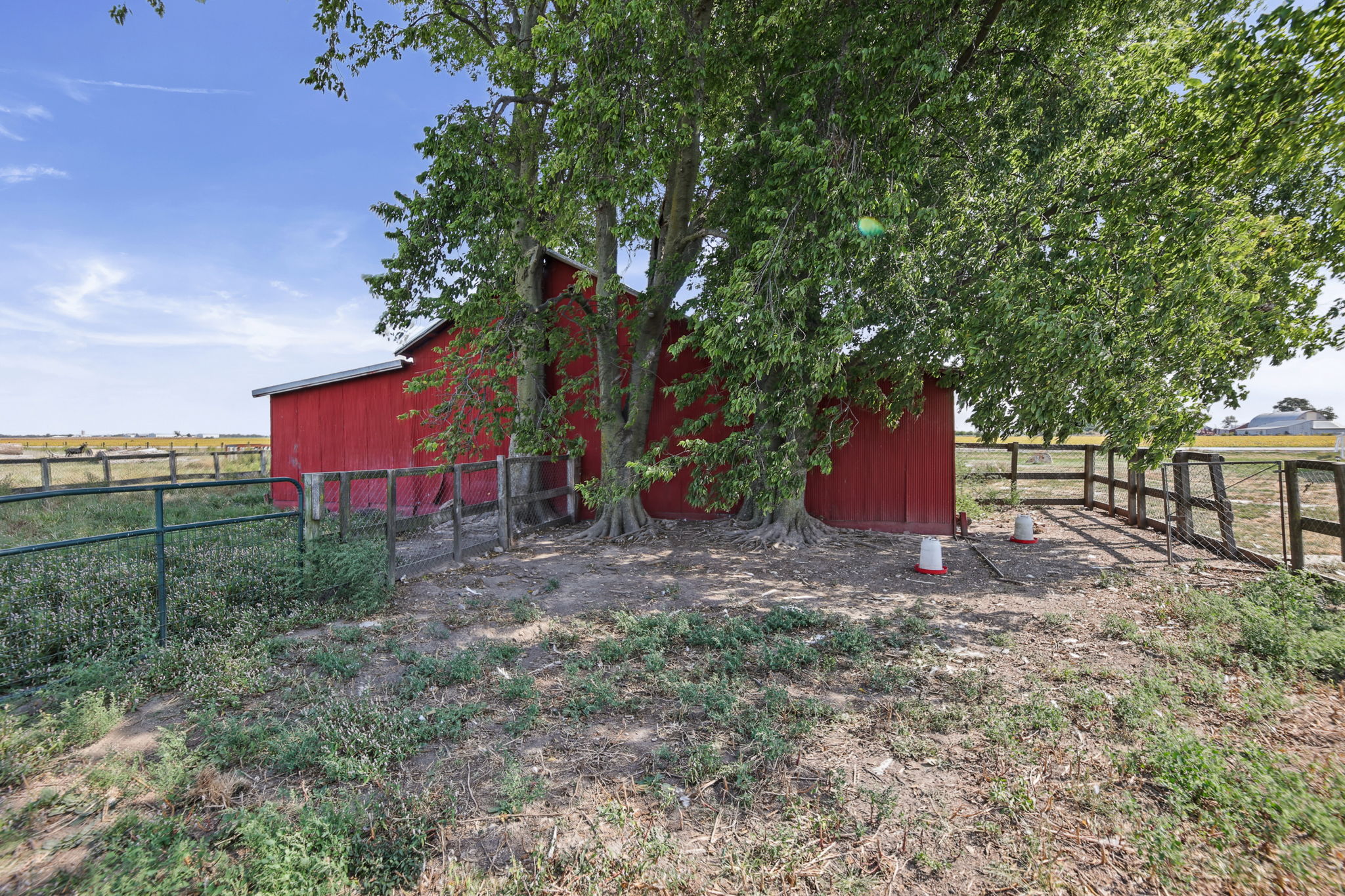  Photo 9