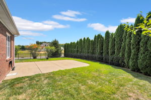 Private Backyard