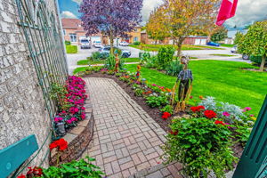 Front Patio