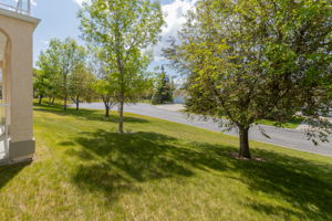  Photo 52