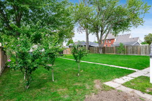 Photo 38