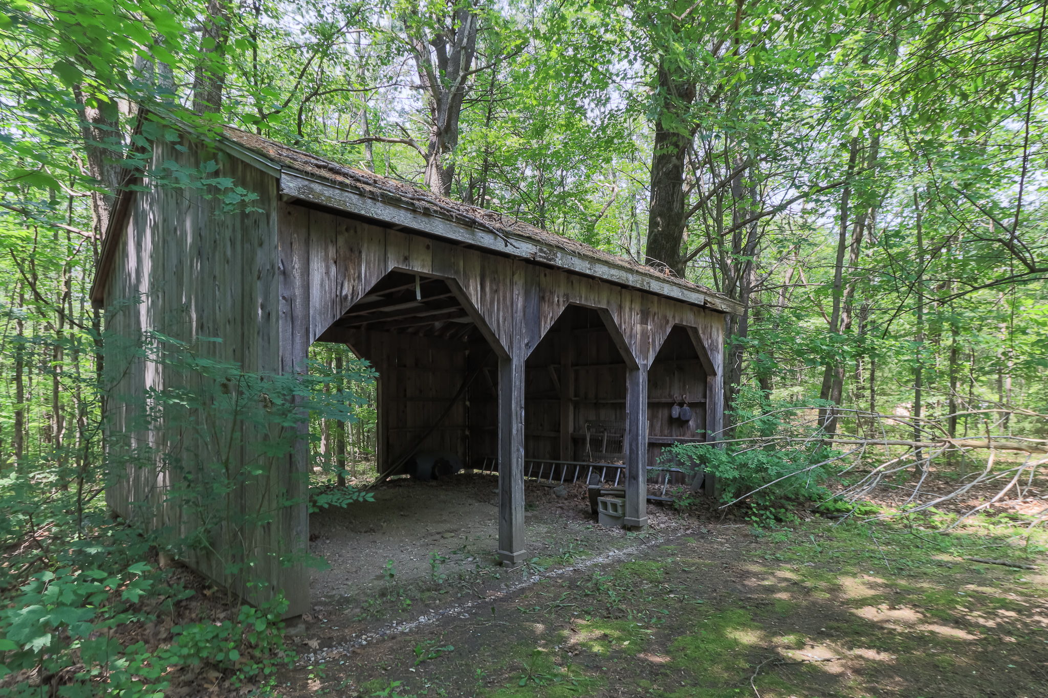 ExteriorRearOutBuilding-1