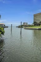 Vacant Lot13