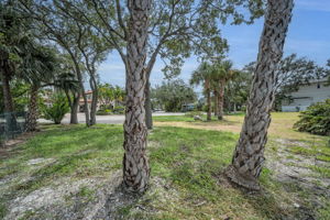 Vacant Lot17