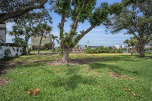 Vacant Lot29