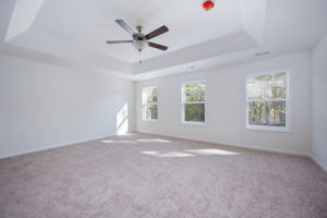  Photo 49