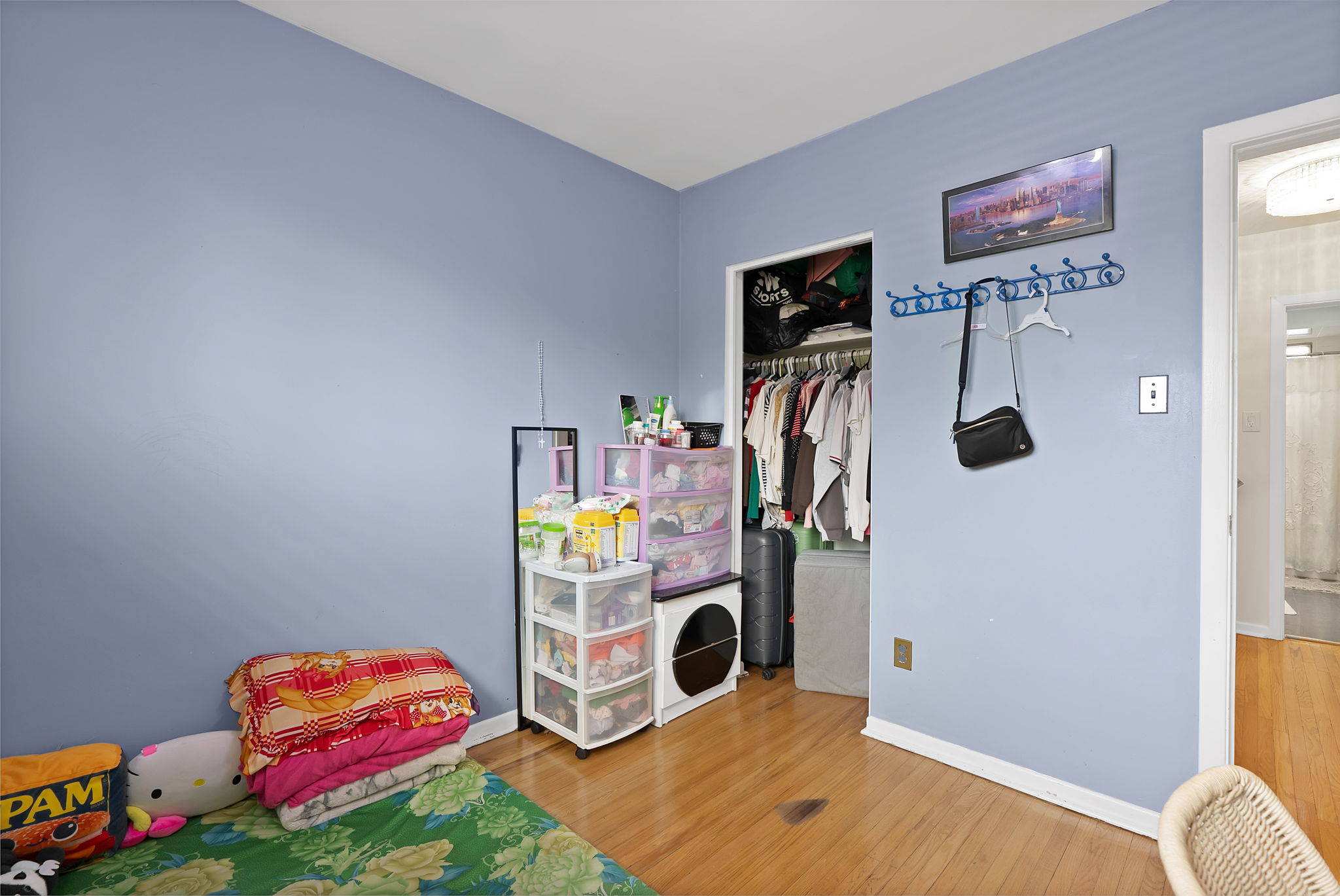  Photo 43