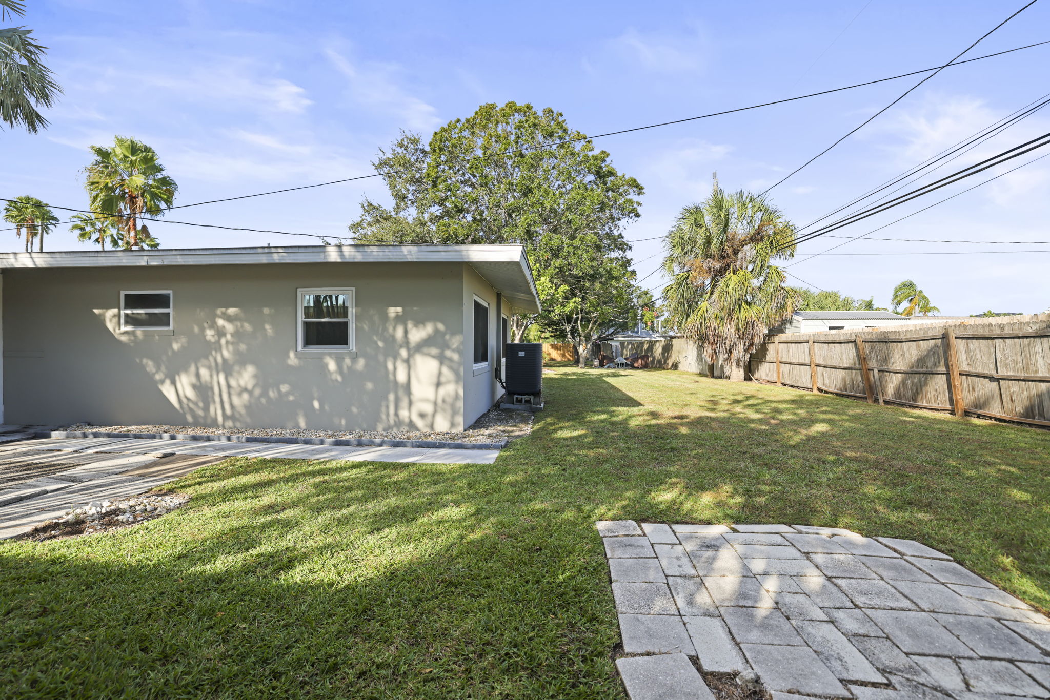 Updated Back - 495A0869