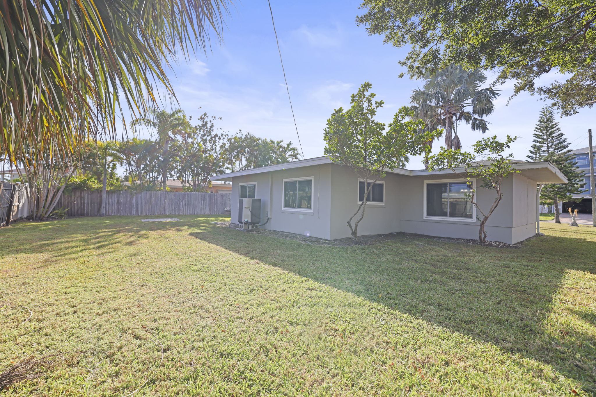 Updated Back - 495A0876