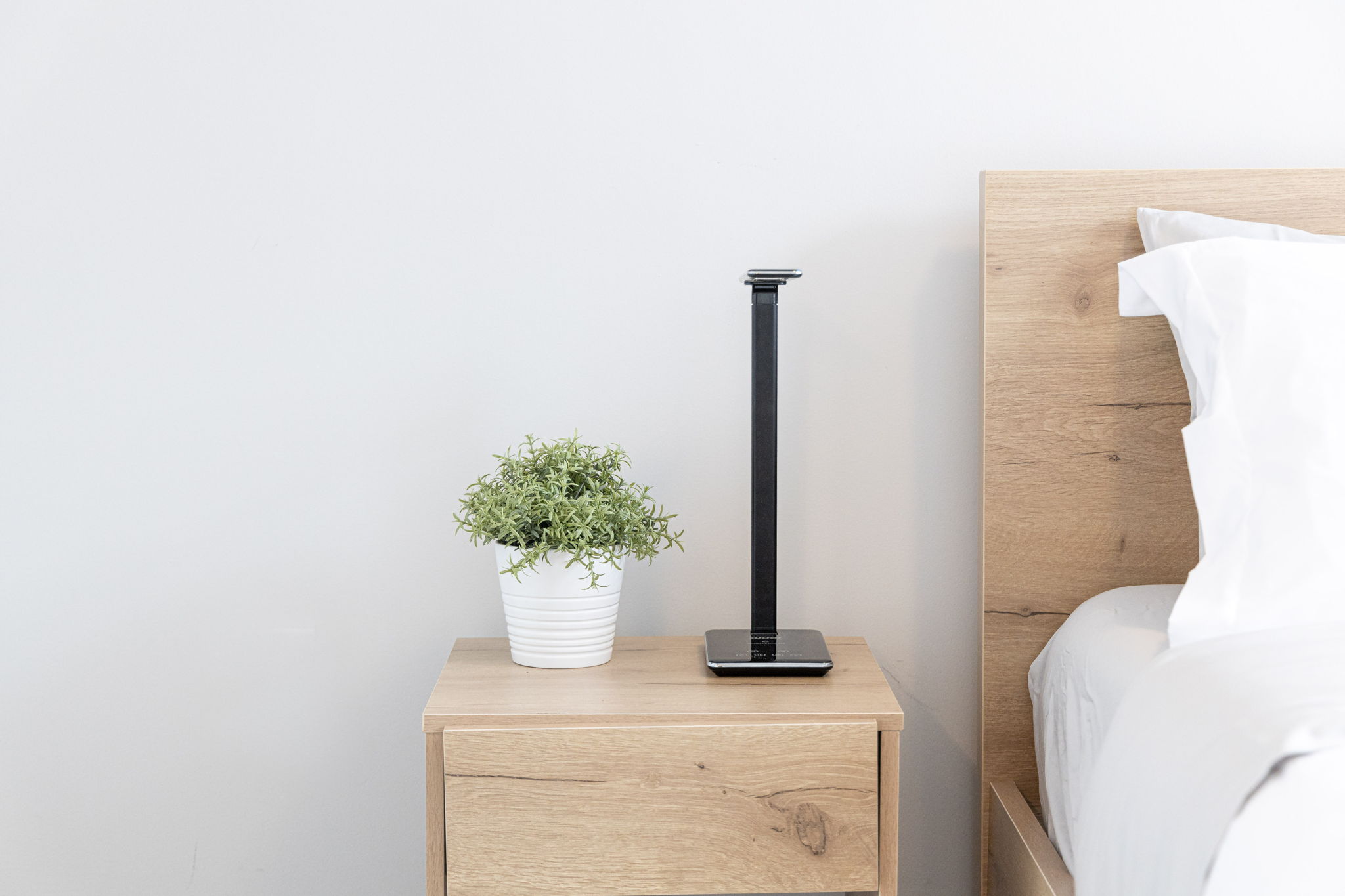 Toronto property showcase — delivered property photograph 22