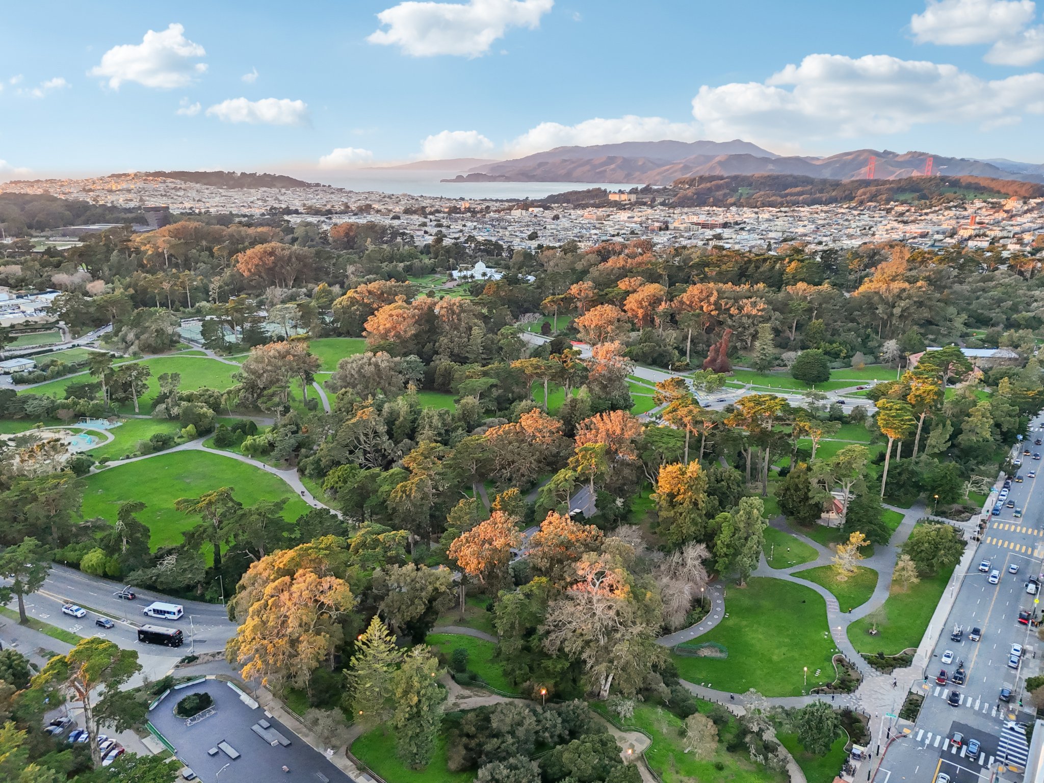 Lyon St-1001-917.jpg