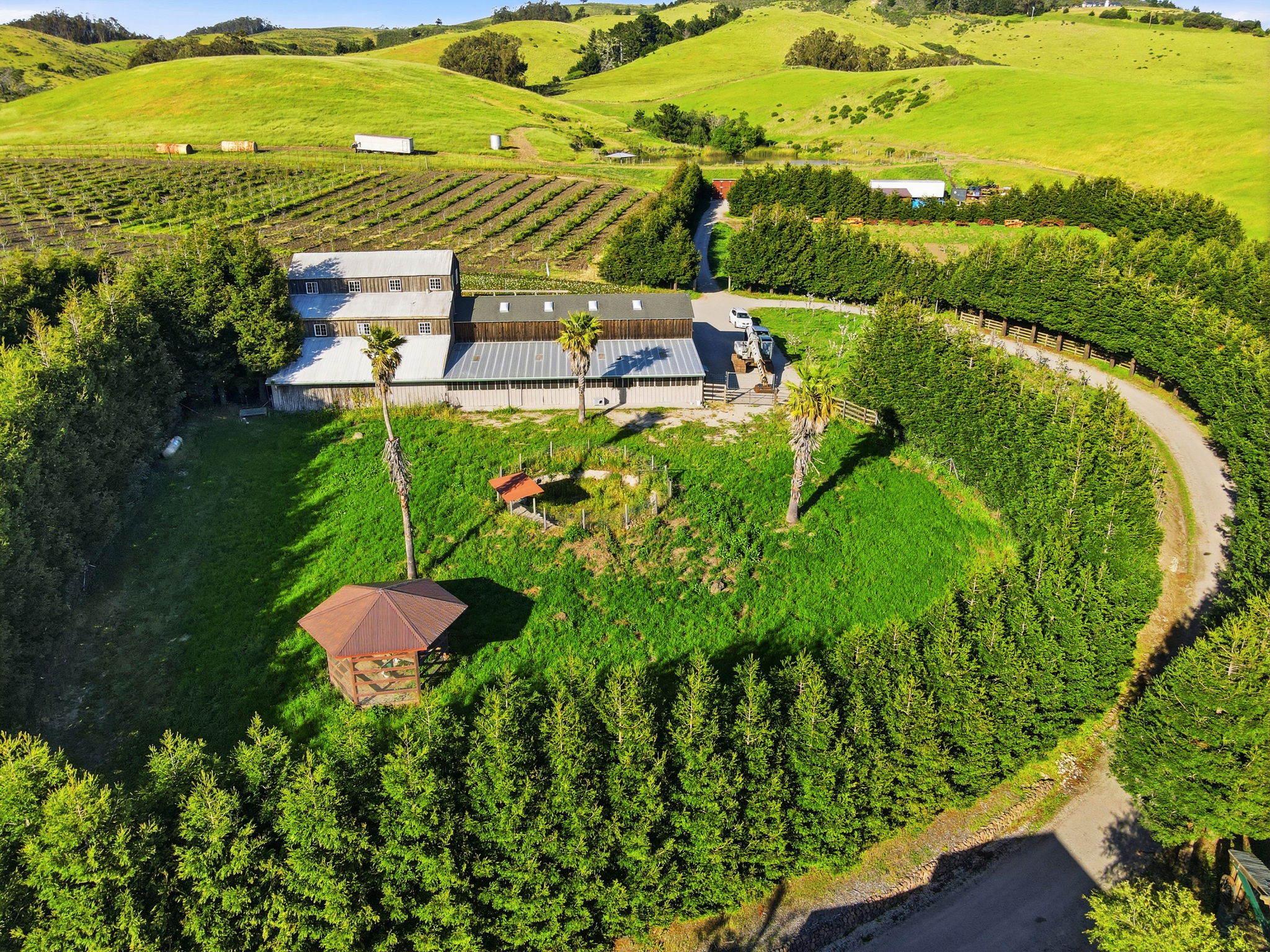 Barn 3 -