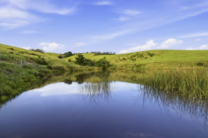 Reservoir #2
