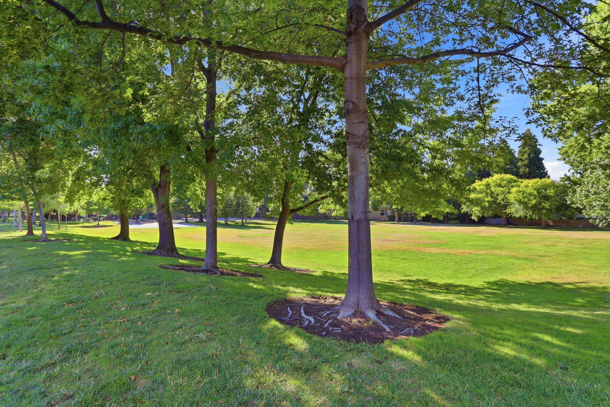 046_F8_560 Tawny Dr