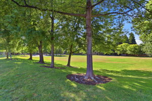 046_F8_560 Tawny Dr