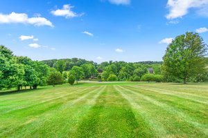 45. Back exterior.jpg