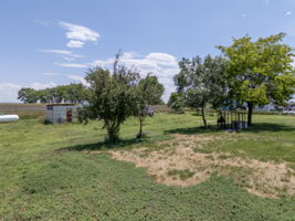  Photo 47