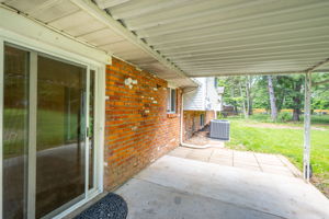  Photo 41