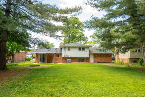  Photo 47