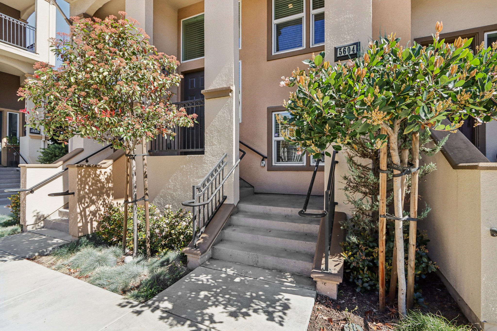 Pandorea Terrace-S0703-005.jpg