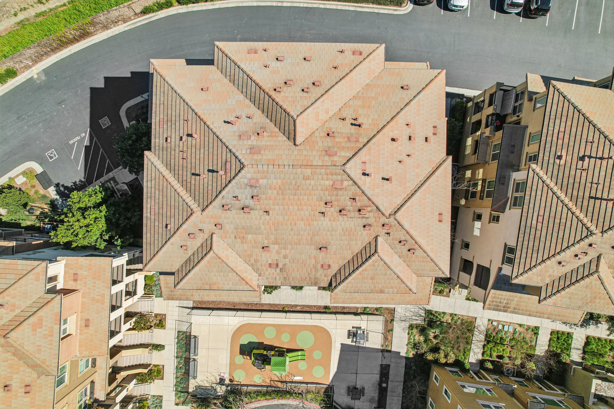 Pandorea Terrace-S0703-051.jpg