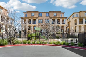 Pandorea Terrace-S0703-004.jpg